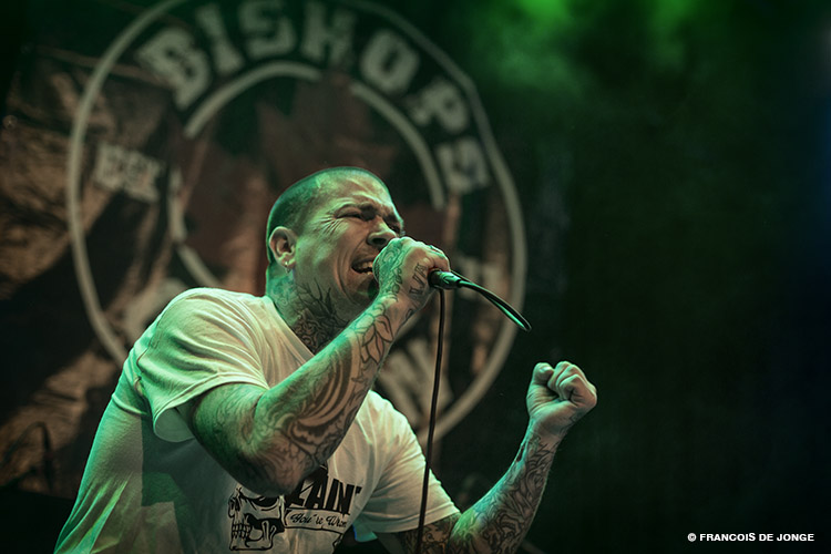 bisshopsgreen1pitkings