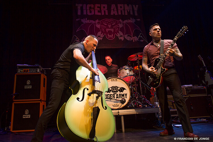 tigerarmy2pitkings