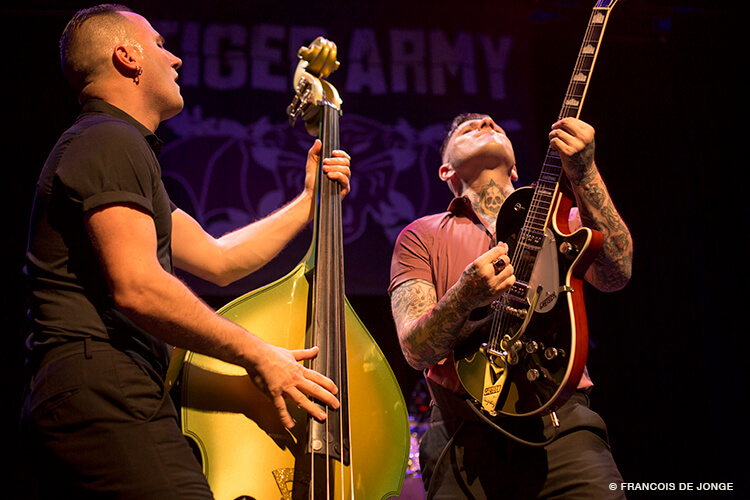 tigerarmy3pitkings