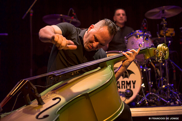 tigerarmy5pitkings